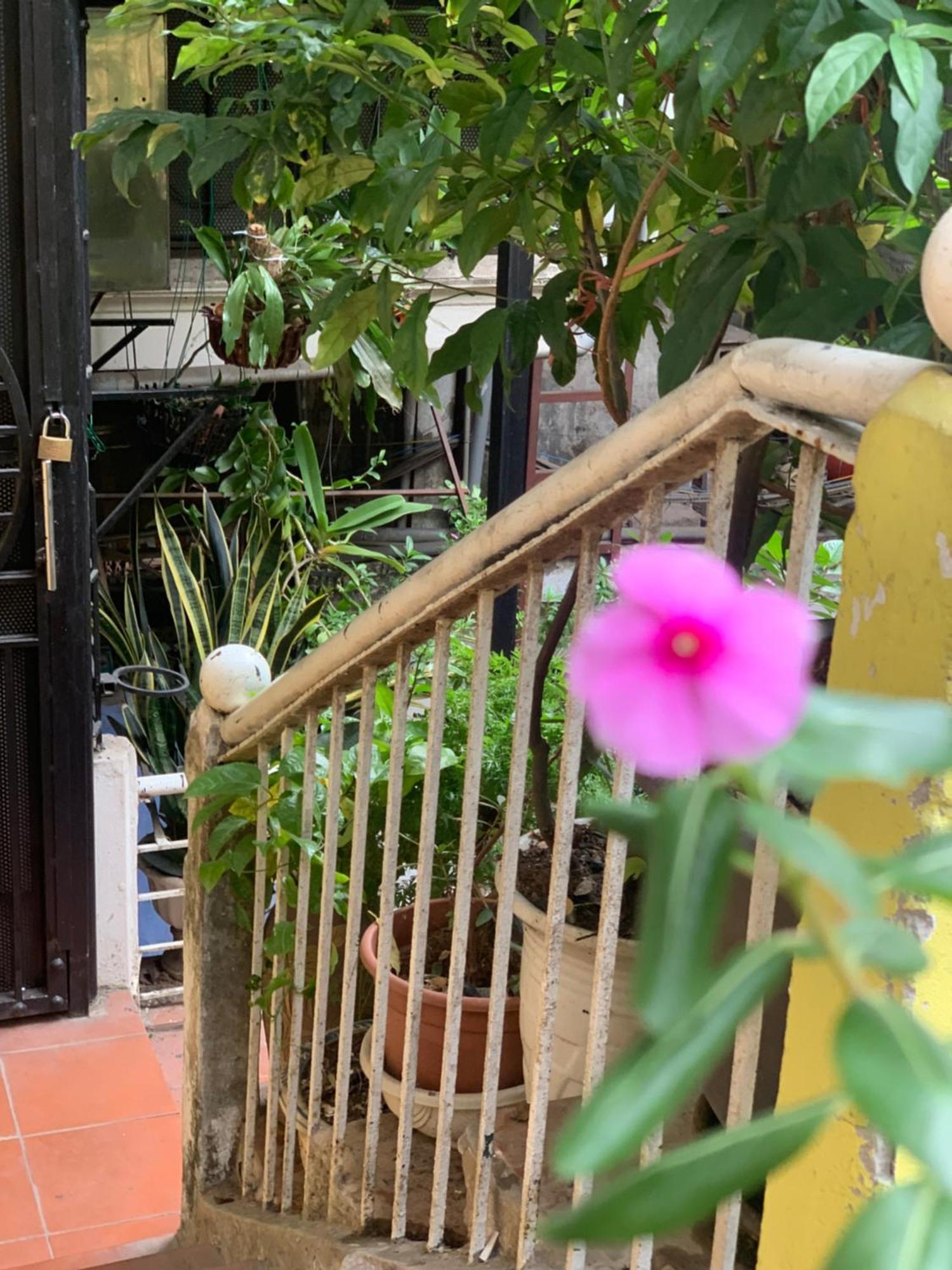 Charmcham House Lejlighed Hanoi Eksteriør billede