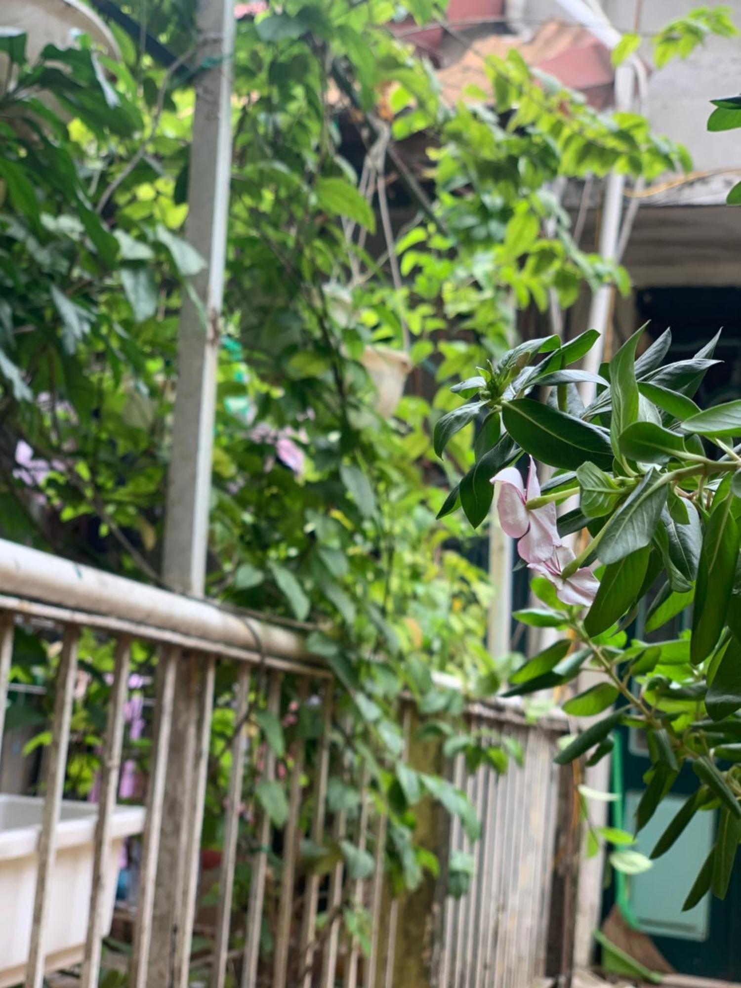 Charmcham House Lejlighed Hanoi Eksteriør billede