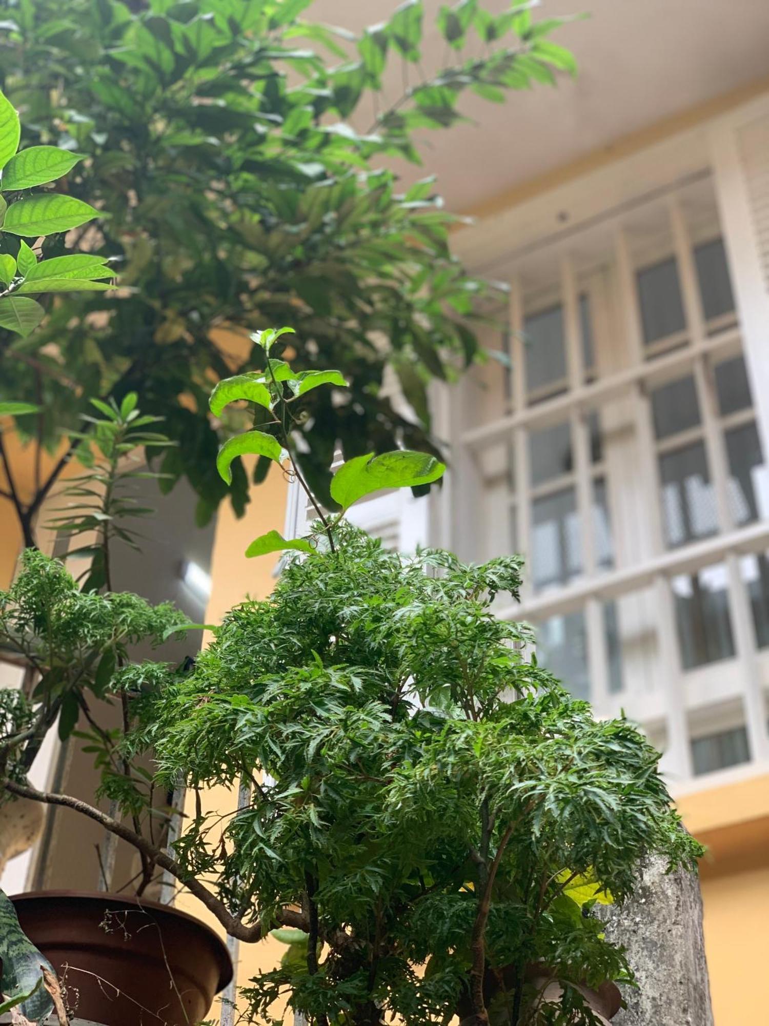Charmcham House Lejlighed Hanoi Eksteriør billede